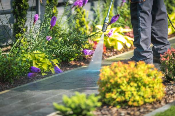 Best Gutter Cleaning  in Ettrick, VA